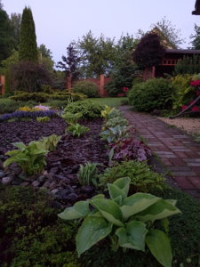 20180524_214708.jpg