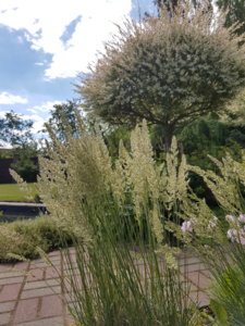 20180609_113349.jpg