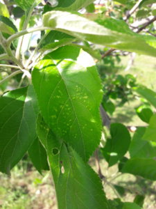 20180609_170337.jpg