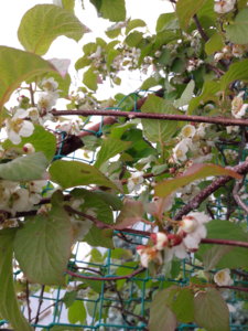 20180608_165447.jpg