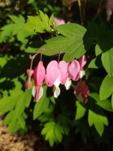 20180526_185547.jpg