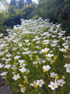 20180527_150854.jpg