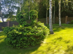 20180527_151637.jpg