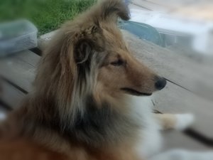 IMG_20180523_182839.jpg