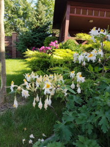 20180530_173918.jpg