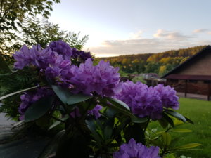 20180606_210240.jpg