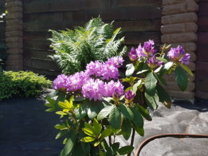 20180603_121842.jpg