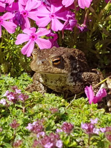 20180530_115506.jpg