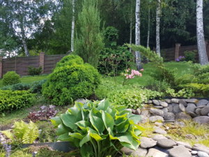 20180531_155011.jpg