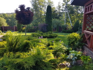 20180603_083402.jpg