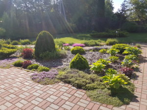 20180603_083612.jpg