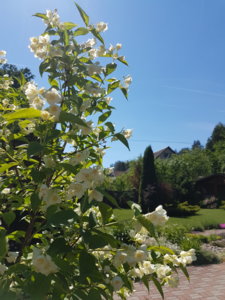 20180603_112133.jpg