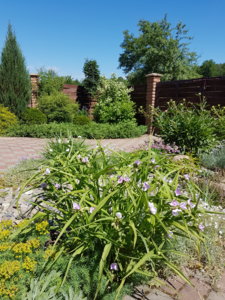 20180603_114010.jpg