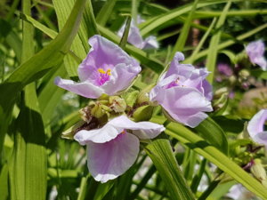 20180603_114035.jpg