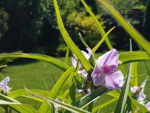 20180603_113114.jpg