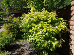 20180603_112227.jpg