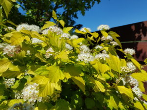 20180603_112238.jpg