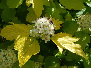 20180603_113257.jpg