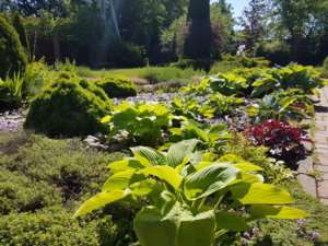20180608_103539.jpg