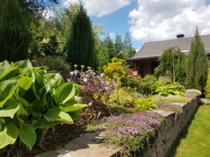 20180603_123123.jpg