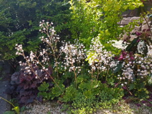 20180603_112736.jpg