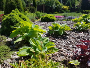 20180603_112641.jpg