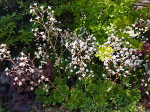20180603_112752.jpg