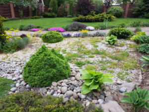 20170531_083017.jpg