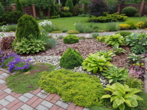 20170709_085022.jpg
