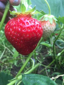 D8970F60-23A4-4E01-8382-00FAC48EB576.jpeg