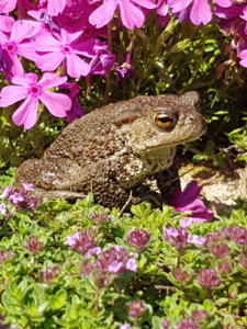 20180530_115448.jpg