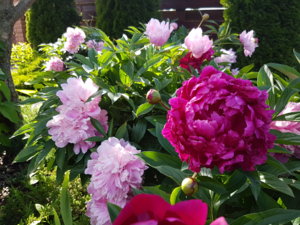 20170625_173335.jpg