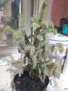 IMG_20180617_220725.jpg