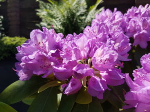 20180603_121922.jpg