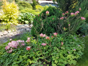 20180603_122603.jpg