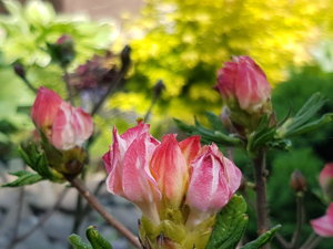 20180603_122640.jpg