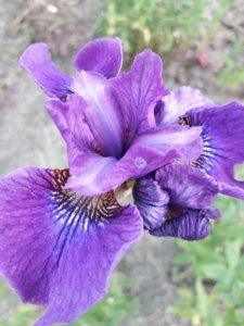 20180617_183224.jpg