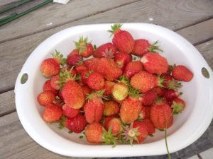 IMG_20180617_162417.jpg