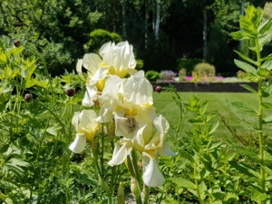 20180603_115514.jpg
