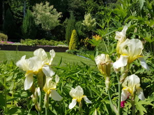 20180603_115522.jpg