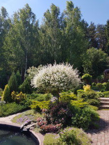 20180603_120603.jpg