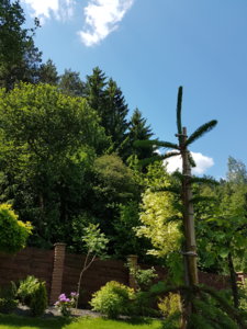 20180603_122424.jpg
