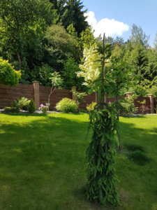 20180603_122409.jpg