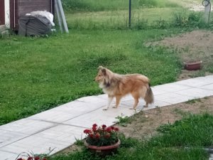 IMG_20180618_191216.jpg