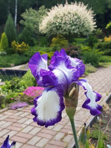 20180603_135944.jpg