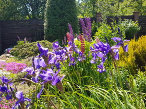 20180603_115415.jpg