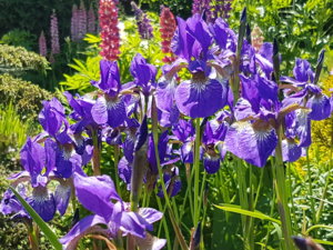 20180603_115433.jpg