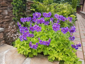20180607_120913.jpg