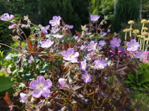 20180603_123059.jpg