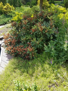 20180613_125547.jpg